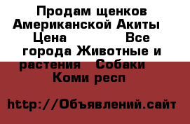 Продам щенков Американской Акиты › Цена ­ 25 000 - Все города Животные и растения » Собаки   . Коми респ.